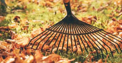 raking leaves