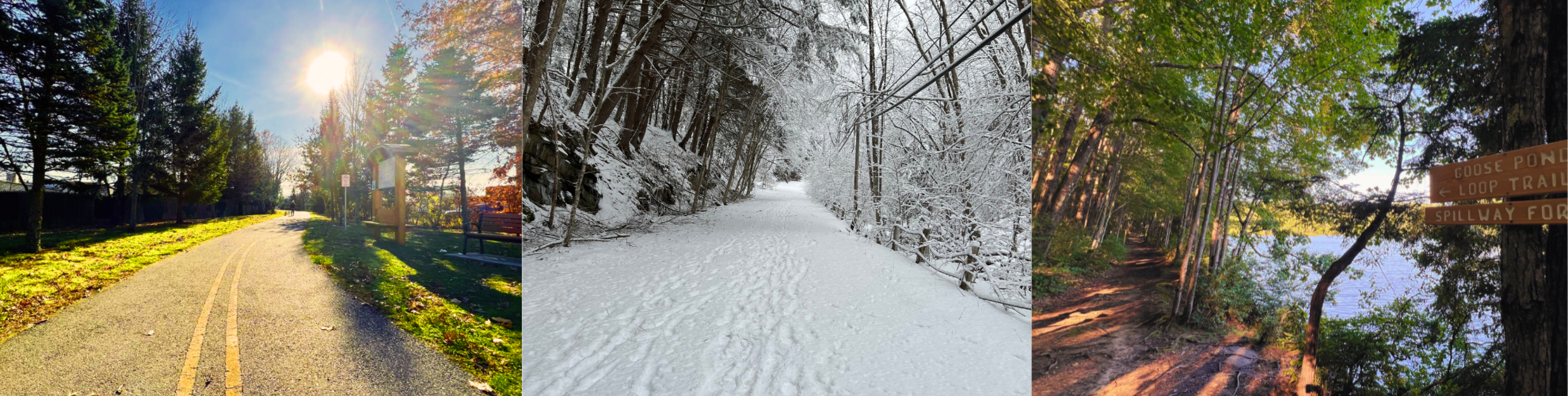 various trails in keene