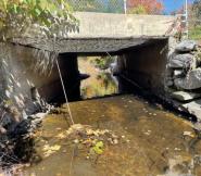 george street bridge