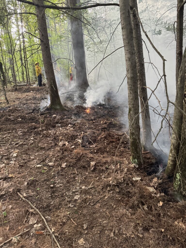 brush fire smoking with firefighters in the background