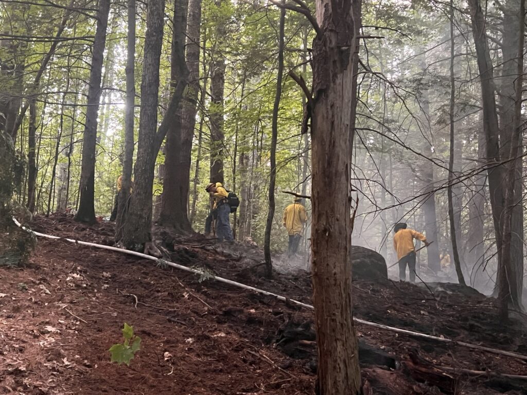 fire fighters extinguishing a brush fire with a hose run onthe ground