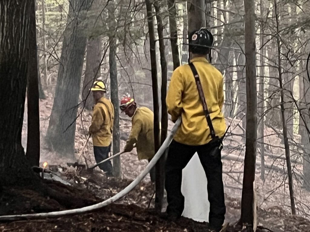 fire fighter holding a hose with others using tools to extinguish a brush fire