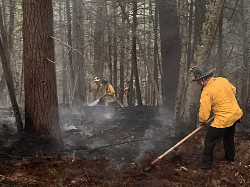 fire fighrers using a hose to extinguish a brush fire