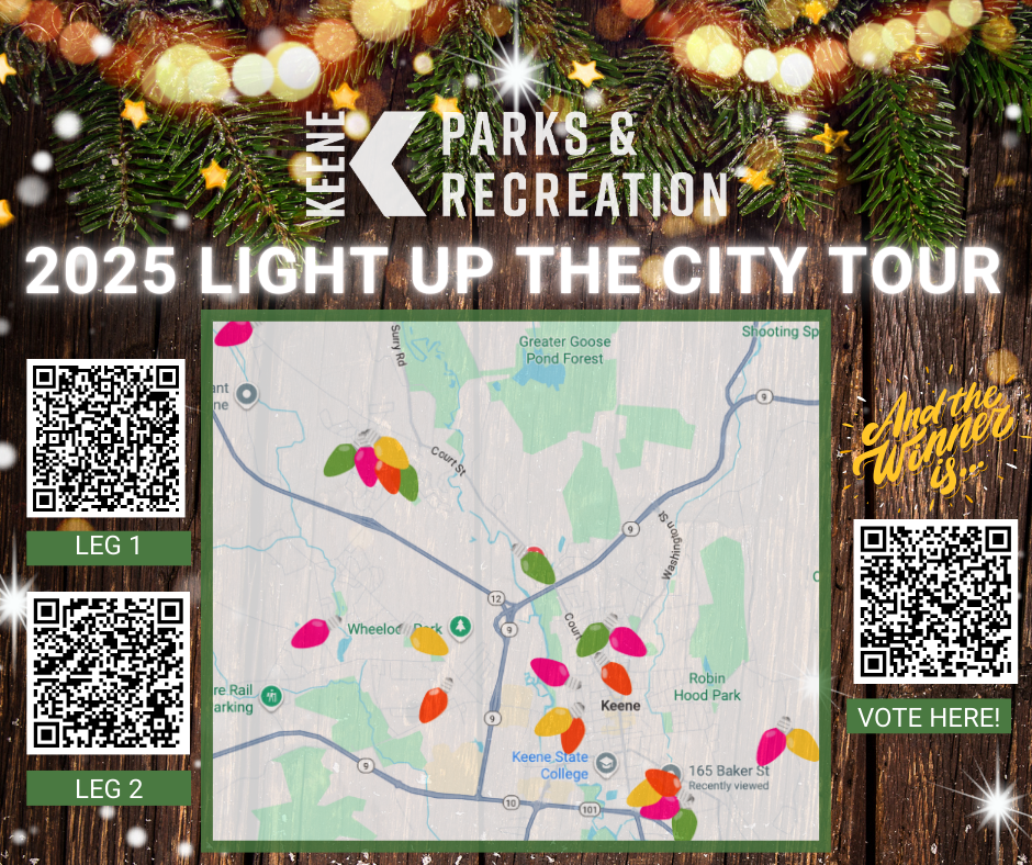 2025 Light Up the City Tour - holiday light display maps and voting link