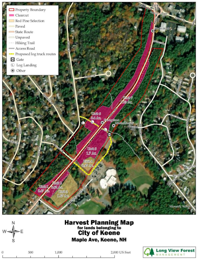 Map of planned Red Pine Harvest in Dinsmoor Woods along Maple Avenue